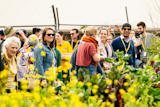 Group of people wearing lanyards touring a garden with bright yellow flowers, engaging in conversation and enjoying the outdoor setting.